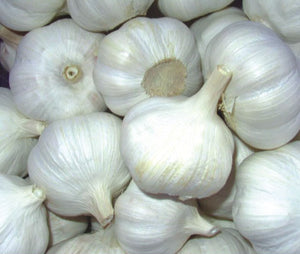 Garlic (Each)